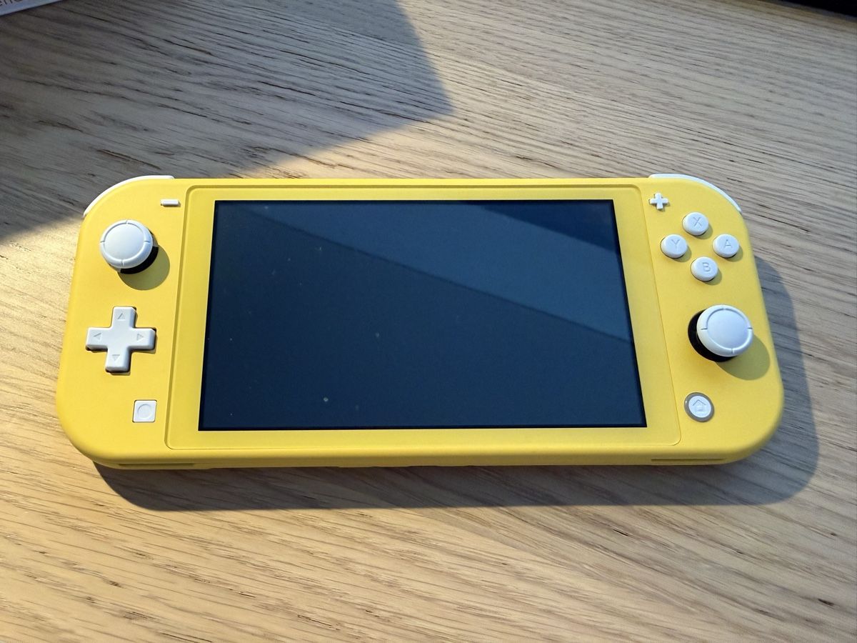 Nintendo Console: Nintendo Switch Lite OHNE Ladekabel – Nuovo (secondo la descrizione) da Sargans venduto da nik_d58q 1