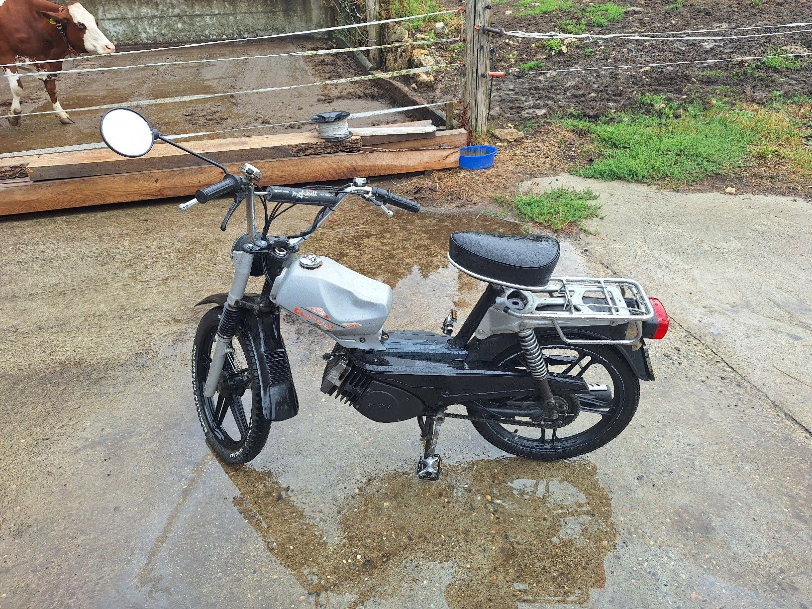Pony Ciclomotori: Töffli Sachs Pony Gtx 503 – Usato da Beinwil SO venduto da Chuelifarm 4