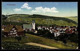 AK Wolfhalden, Totalansicht mit Kirche und Feldern