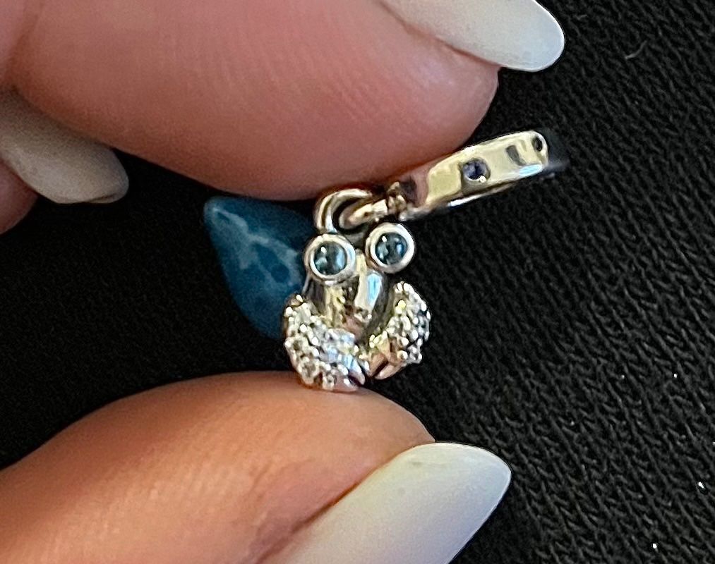 Pandora Ciondoli: Pandora Charm – Usato da Remigen venduto da Celeva