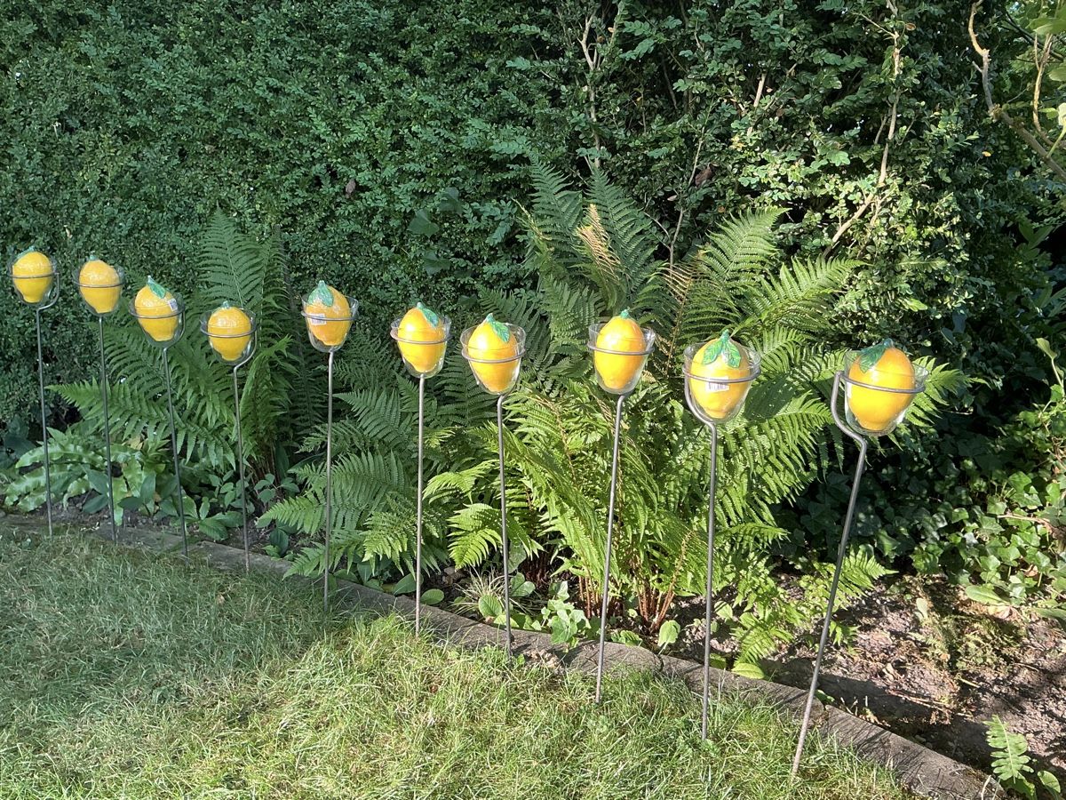 Portacandele: 10 Windlichter mit massivem Eisengestell für Gartenparty – Nuovo (secondo la descrizione) da Schönenwerd venduto da simca04 2