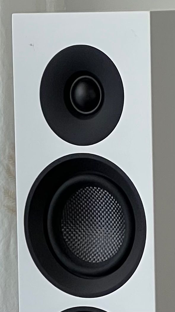 Pro-ject Casse acustiche: Pro-Ject Speaker Box 10 E Carbon – edle Standlautsprecher – Usato da Basel venduto da audiophiler 3