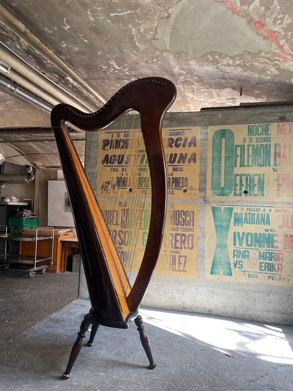 Strumenti musicali: Harfe - Aoyama Harp – Usato da Kreuzlingen venduto da sop_yn89 1