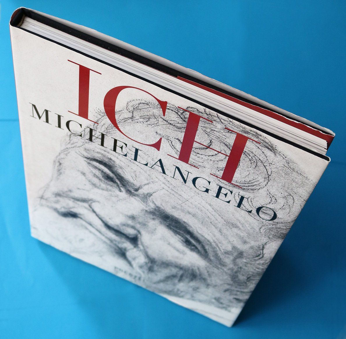 Bücher: Michelangelo – Gebraucht aus Bern von imp_kln9 3