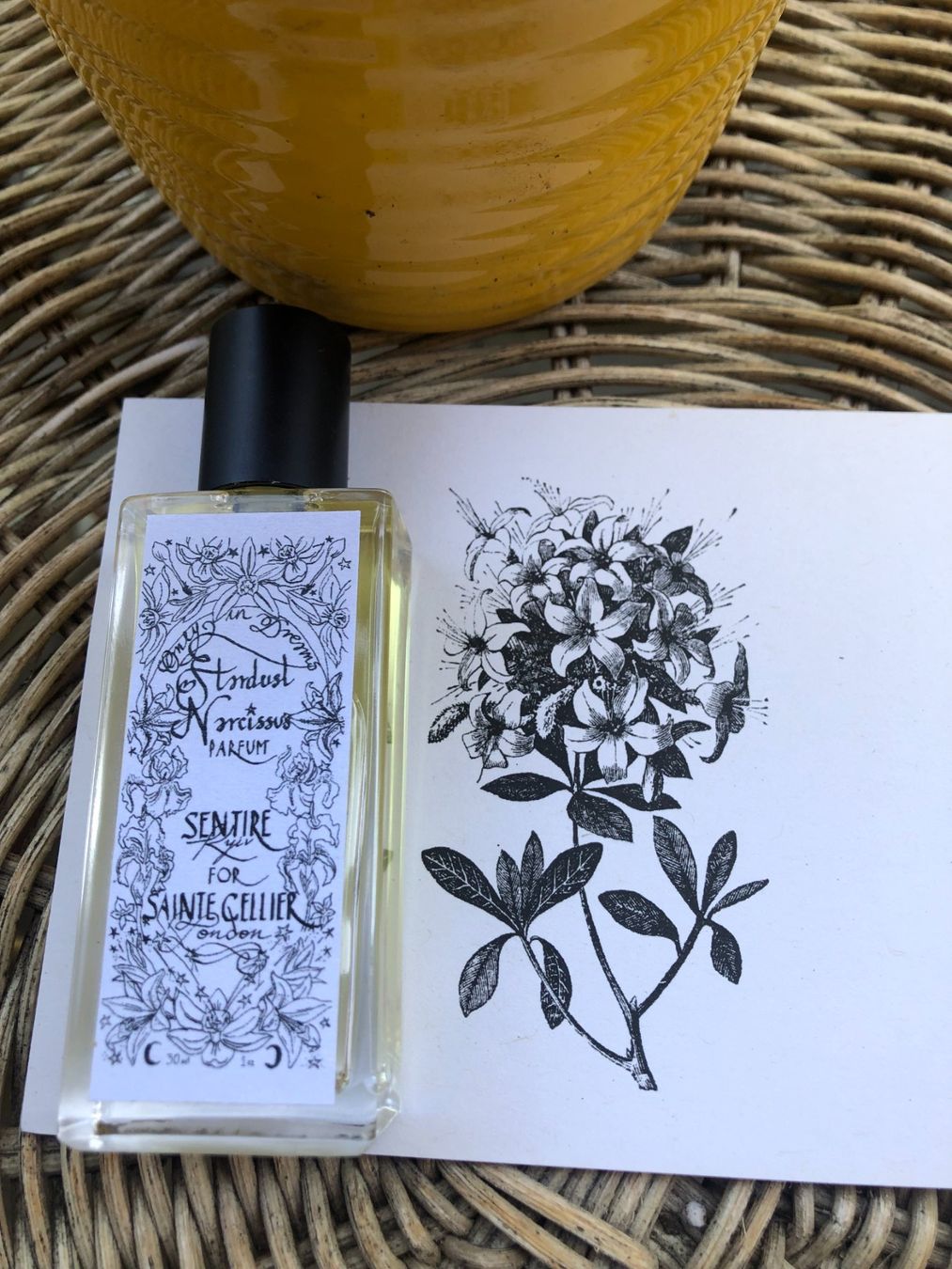 Profumi & Eau de Toilette: Sentire X Sainte Cellier , Stardust Narcissus – Usato da Lausanne venduto da Na2718 1