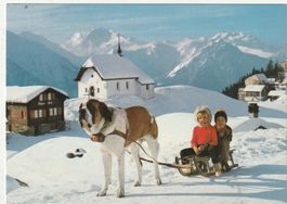 Kinder Schlittenfahrt