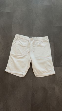 Camp David Shorts