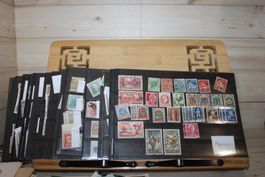 Südamerika/Afrika - Sammlung auf Steckkarten Umfangreich