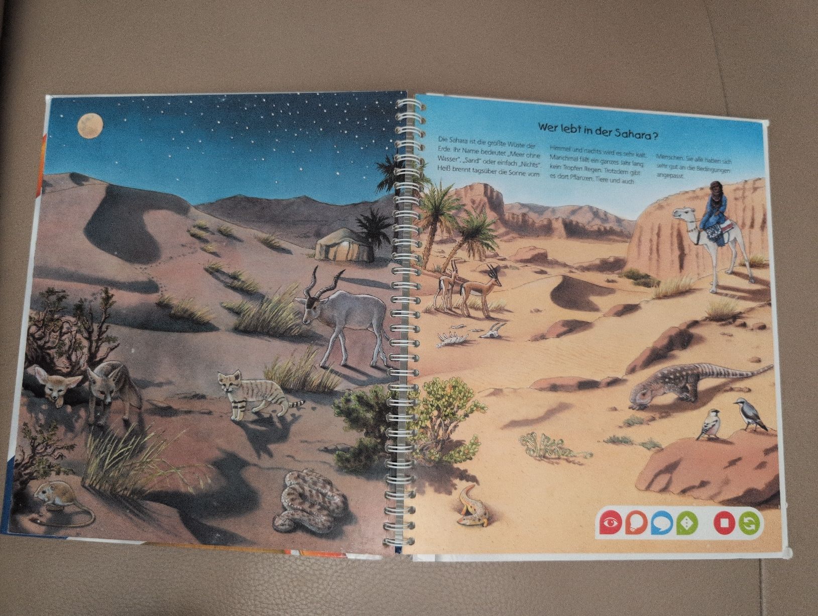 Libri: tiptoi Entdecke die Tiere Afrikas Buch – Usato da Schwerzenbach venduto da _charme_ 6