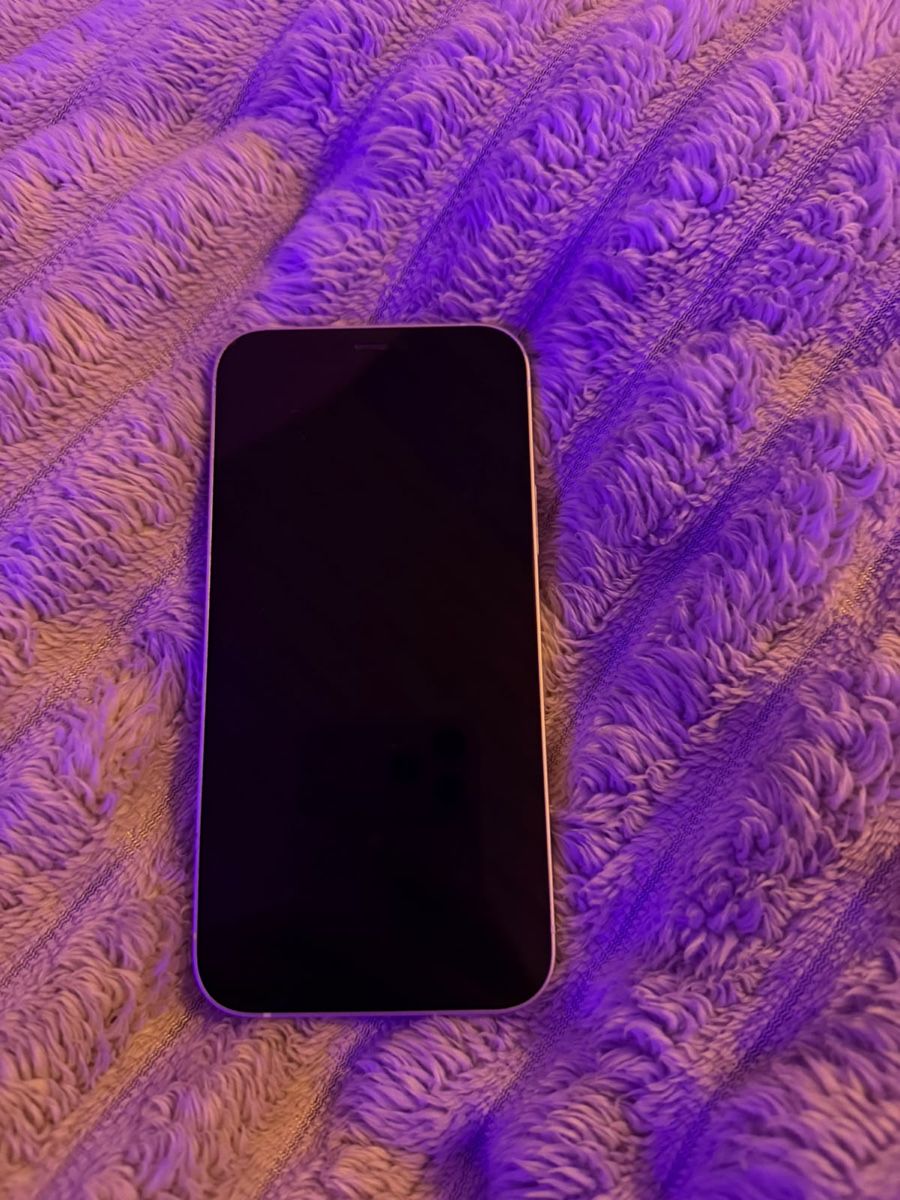 Apple Telefoni cellulari / Smartphones: iPhone 12 blanc 128GO – Usato da Villiers venduto da Laplage1 6