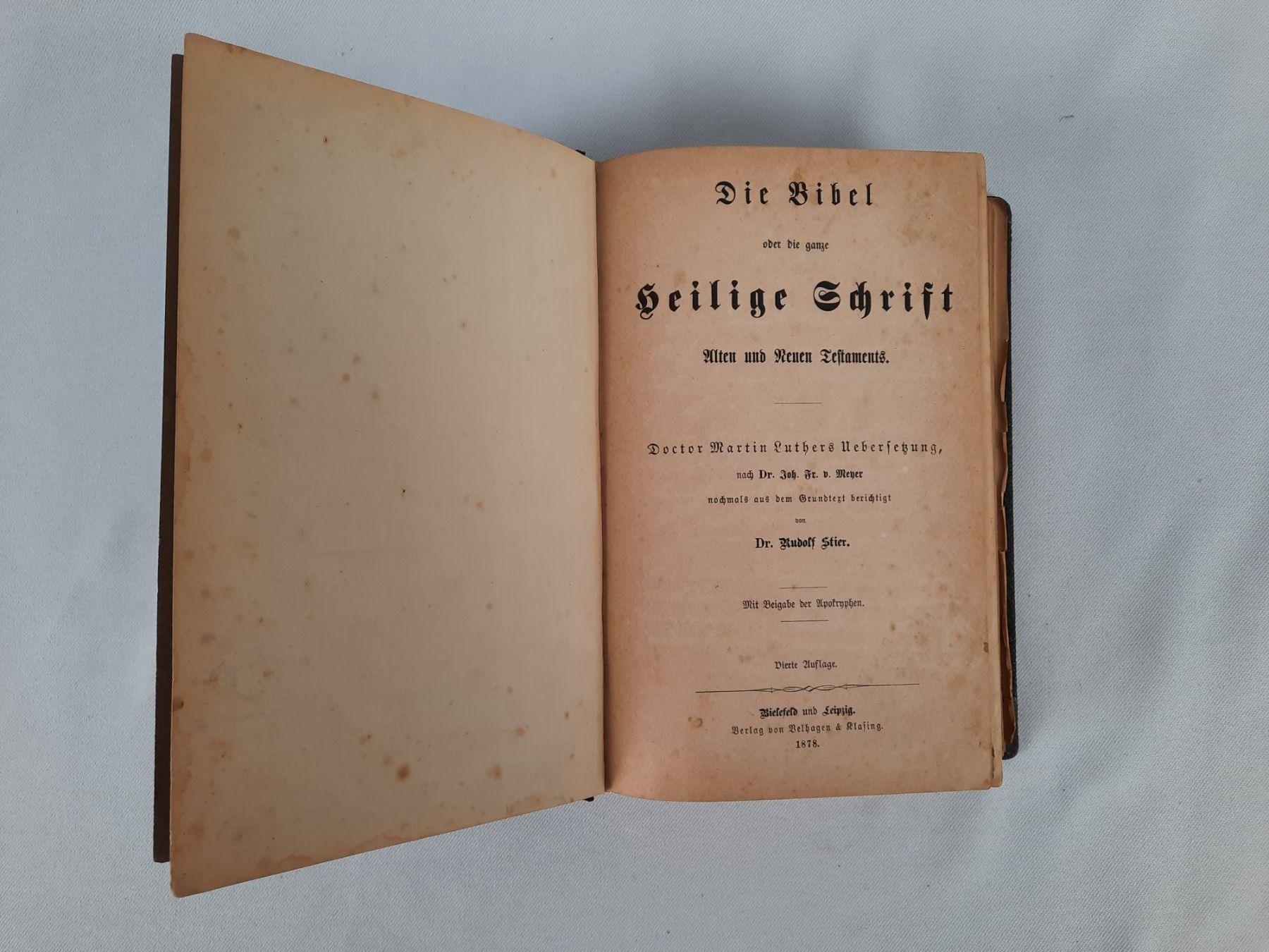 Libri: Die Bibel von 1878 – Usato da Beinwil am See venduto da Restwert_Beinwil