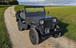 Willys Jeep CJ-3B, BJ 1956, MFK, Veteranenzulassung
