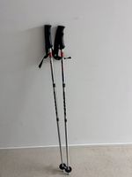 Scott Skistöcke 120 cm