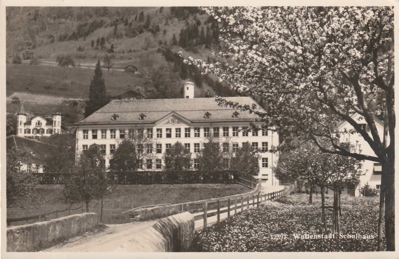 Cartoline postali: Wallenstadt Schulhaus – Usato da Rorschacherberg venduto da fratovi2