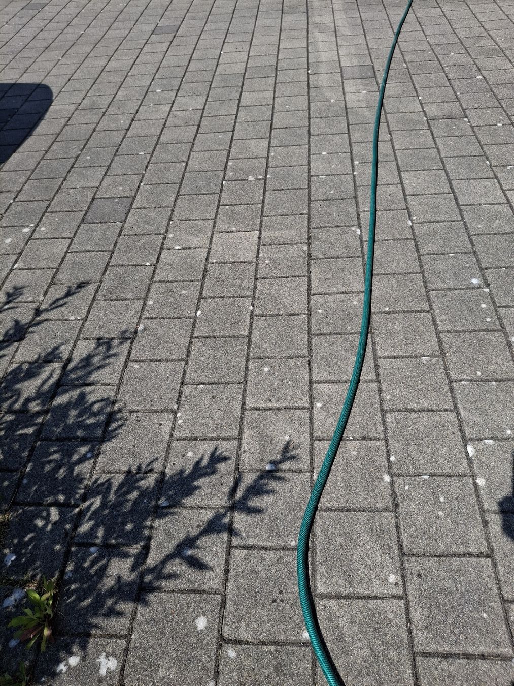 Bodenbeläge: verschiedene Verbund Steine  – Neu (gemäss Beschreibung) aus Lütisburg von ALSImmobau 2