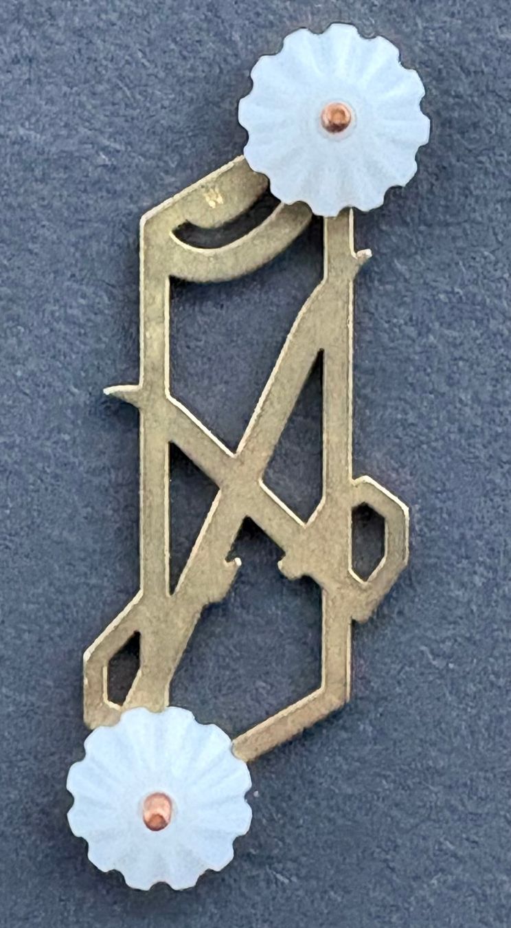 Schweizer Armee Stichwaffen: SCHWEIZER ARMEE FUNKTIONSABZEICHEN – Gebraucht aus Ostermundigen von Kari1937 1