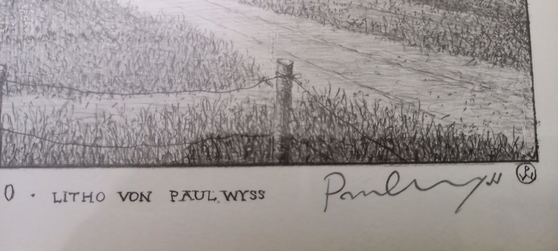 Grafica & Litografie: Paul Wyss Lithographi rümlang – Usato da Höri venduto da bsc_68fw 2