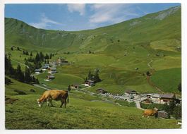 GEILS bei ADELBODEN Restaurant Geilsbrüggli - Kühe