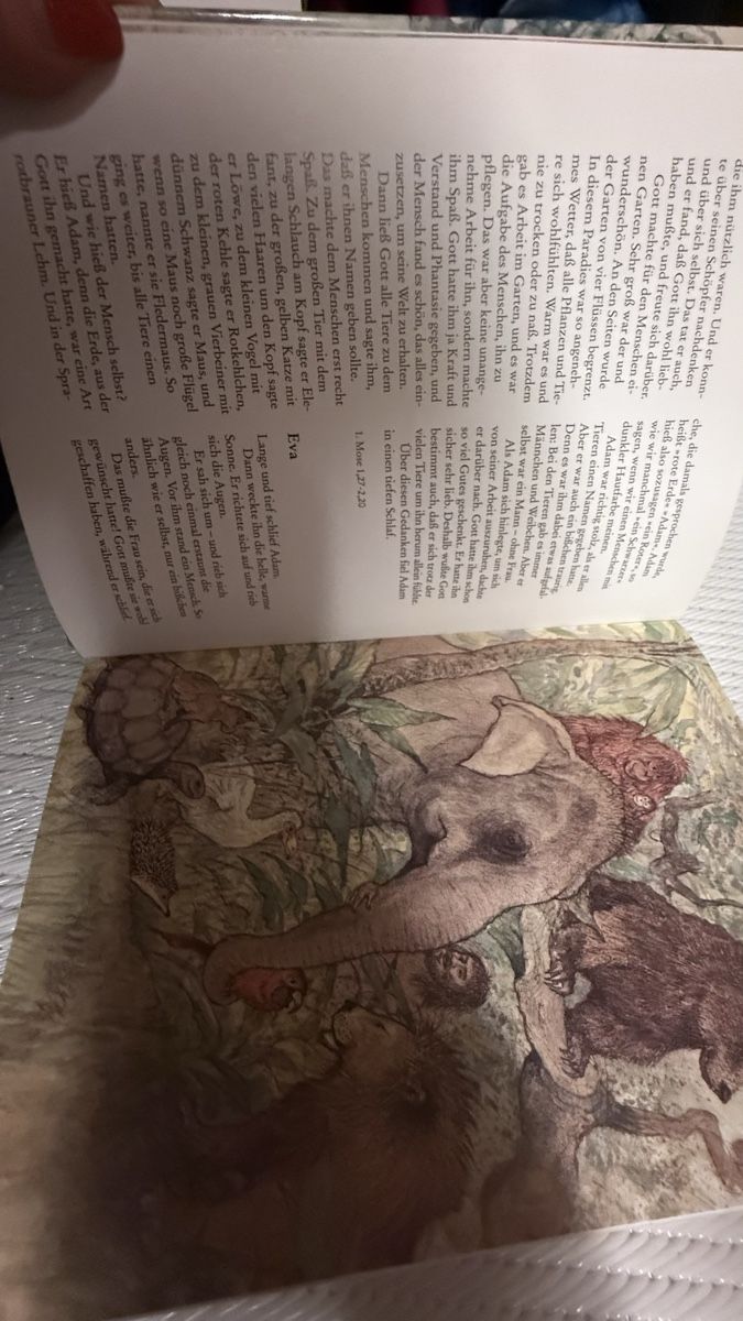 Libri: Kinderbibel - Was der Regenbogen verspricht,Top Zustand – Usato da Zürich venduto da Krikri21 6