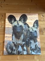 Leinwandbild Afrikanische Wildhunde guter Zustand