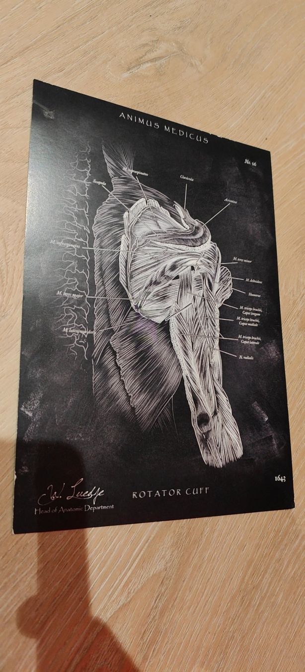 Foto & Immagini: Animus Medicus - Anatomie Bilder – Usato da Altstätten SG venduto da ItobelixI 5