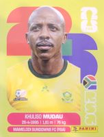 Panini FIFA World Cup RSA 9