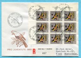 Brief Pro Juventute 1969 - 9erBlock mit Tabs
