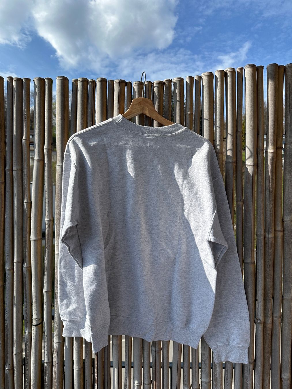 Maglioni & Felpe: Gildan Sweatshirt, size M, Grey with Balloon Design – Usato da Hausen am Albis venduto da fra_j5bg 4