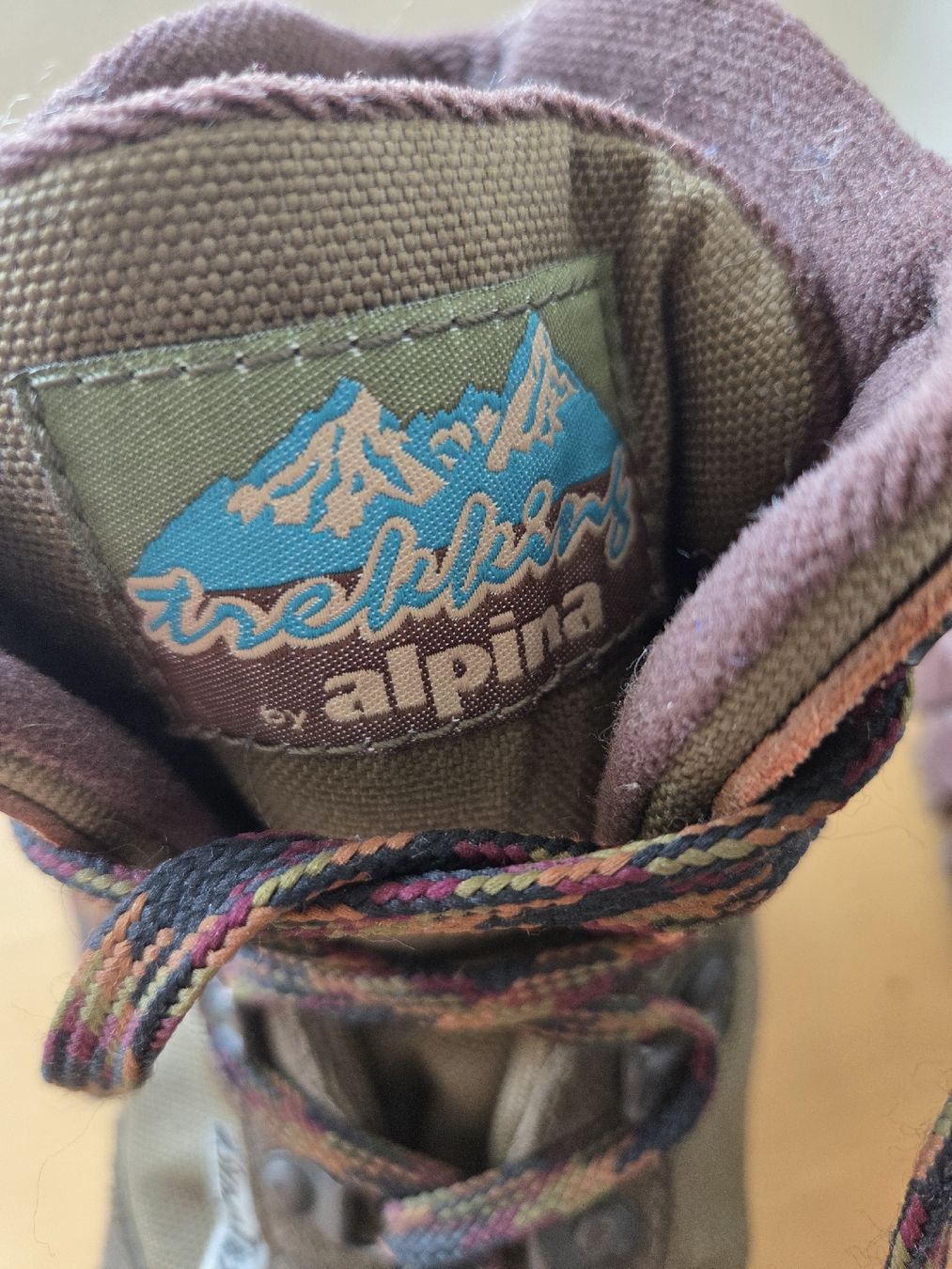 Alpina Scarpe da uomo: Herren Trekkingschuhe Alpina Sympatex – Usato da Rickenbach Sulz venduto da Kodachrom 5