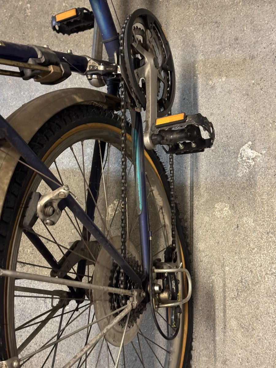 Velos: Allegro Bike – Gebraucht aus Meisterschwanden von Scania78 7
