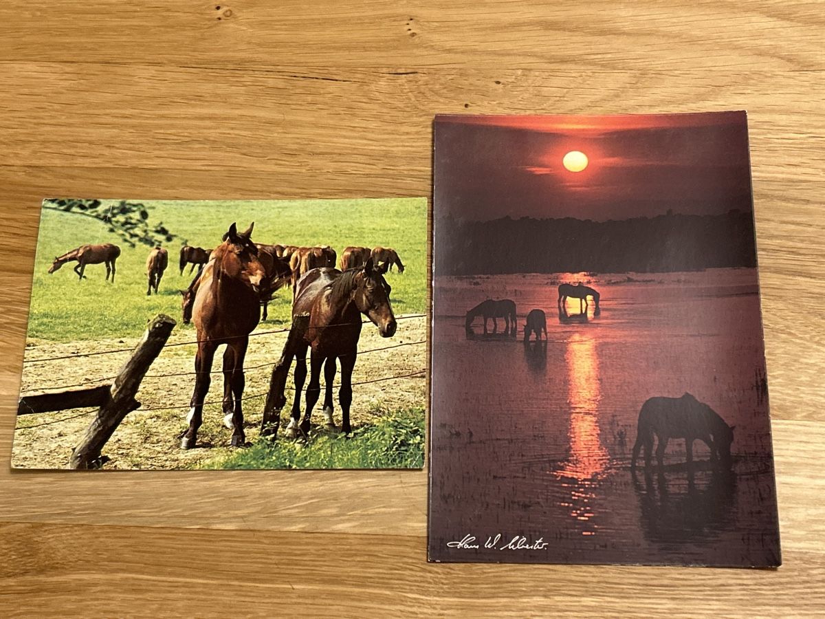 Cartes postales: Pferdepostkarten – D'occasion à Uffikon par Frosch1506