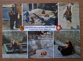 "Fosse aux ours" Berne 1972, carte postale vintage 