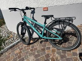 PUKY All Terrain 24 Zoll Kinderfahrrad, 8-Gang