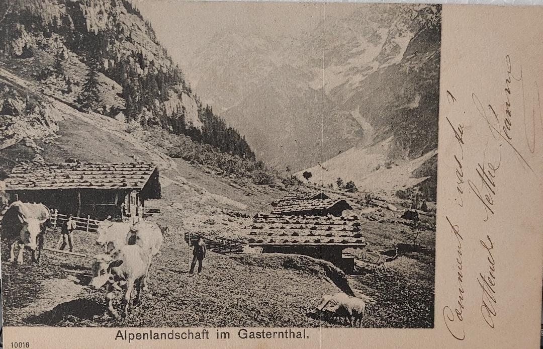 Cartes postales: GASTERNTHAL - Alpenlandschaft - 1902 – D'occasion à Delémont par Domdom1