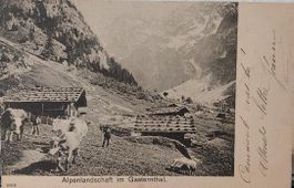 GASTERNTHAL - Alpenlandschaft - 1902