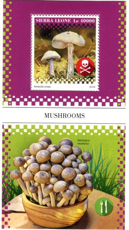 Tous les timbres: Block "Pilze". Sierra Leone – Neuf avec emballage d'origine à Basel par Butsch5