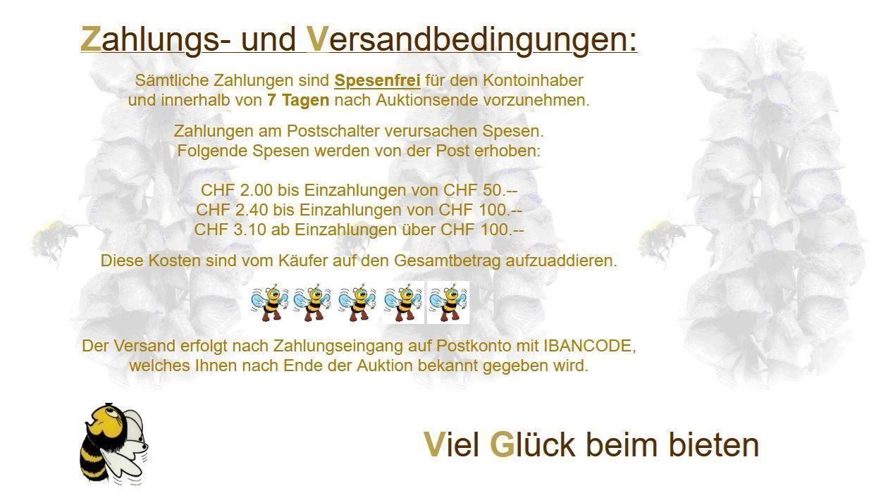 Statuette: 7 teilige Matrjoschka - Matroschka - Babuschka (0196) – Usato da Schmitten FR venduto da fliessigs_Biendli 8