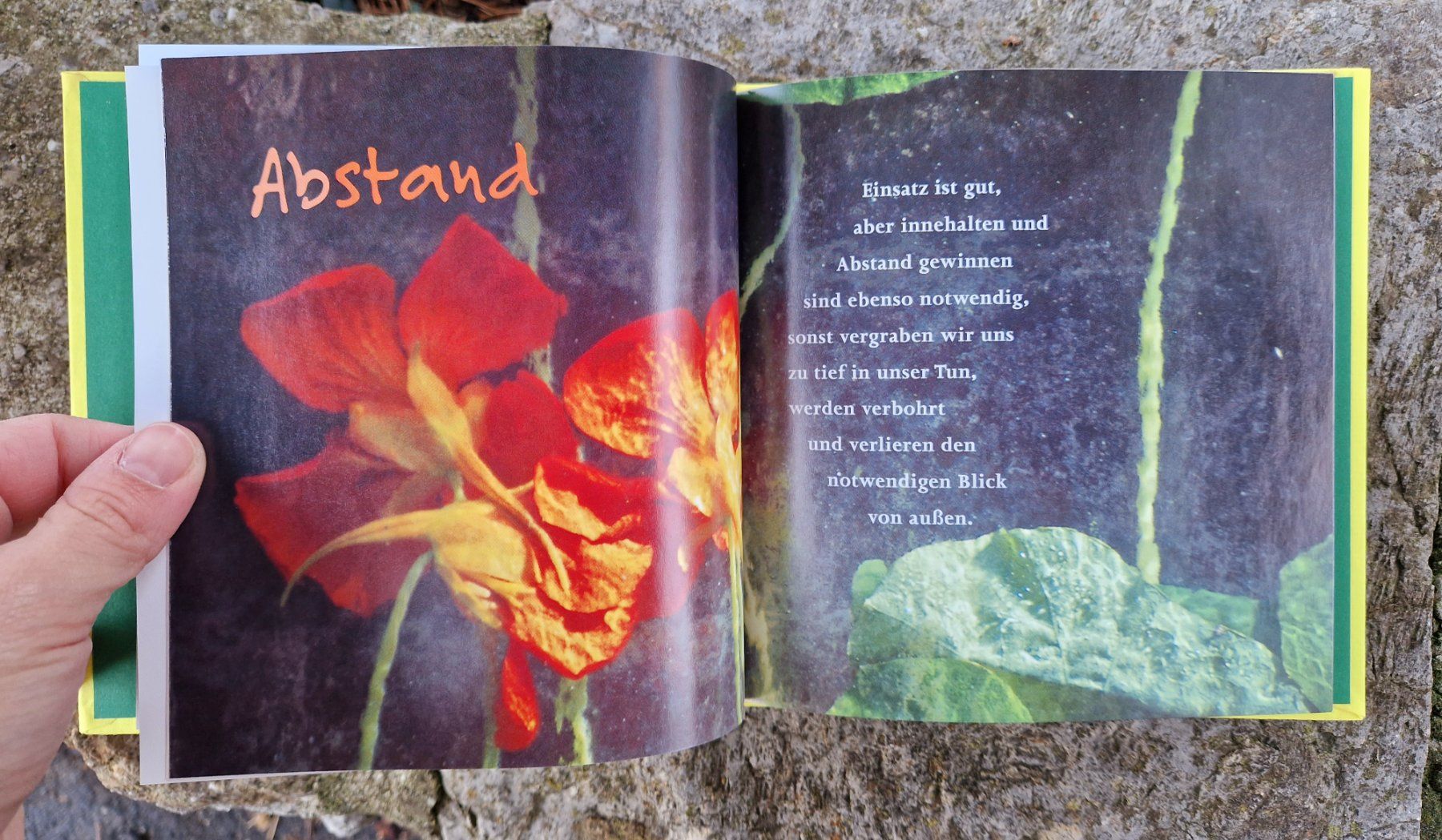 Libri: Buch/Geschenkbuch - Du schaffst es – Usato da Siblingen venduto da Vany_McDougall 4