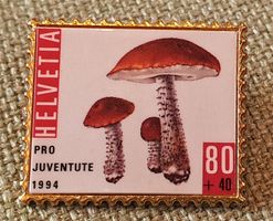 A870 - Pin PTT Pro Juventute Helvetia