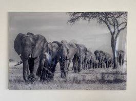 Wanddeko aus Plexiglas®, mit Elefanten-Motiv, 150x100cm