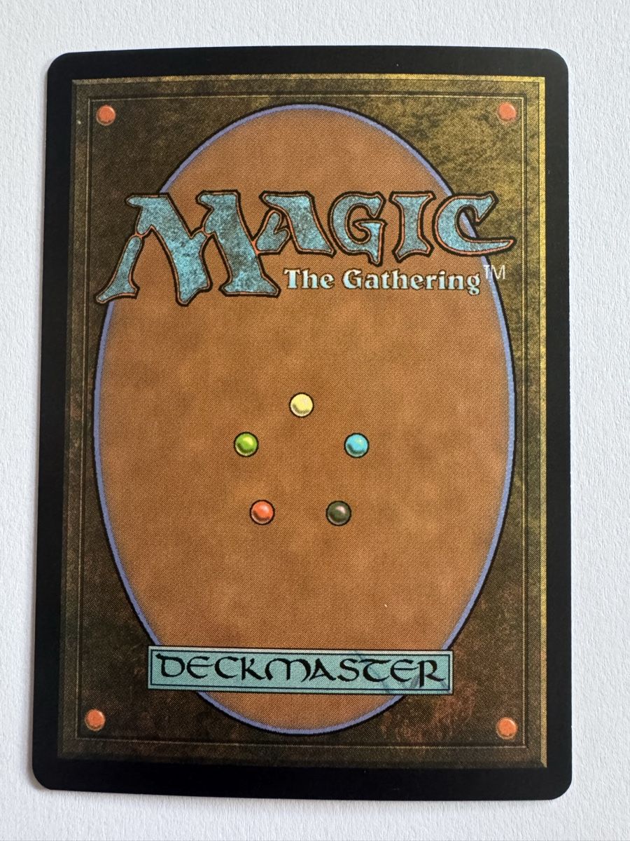 Magic The Gathering Carte collezionabili: MTG Blutmauer Foil Deutsch NM Scourge – Usato da Stadel venduto da bewinshop 1