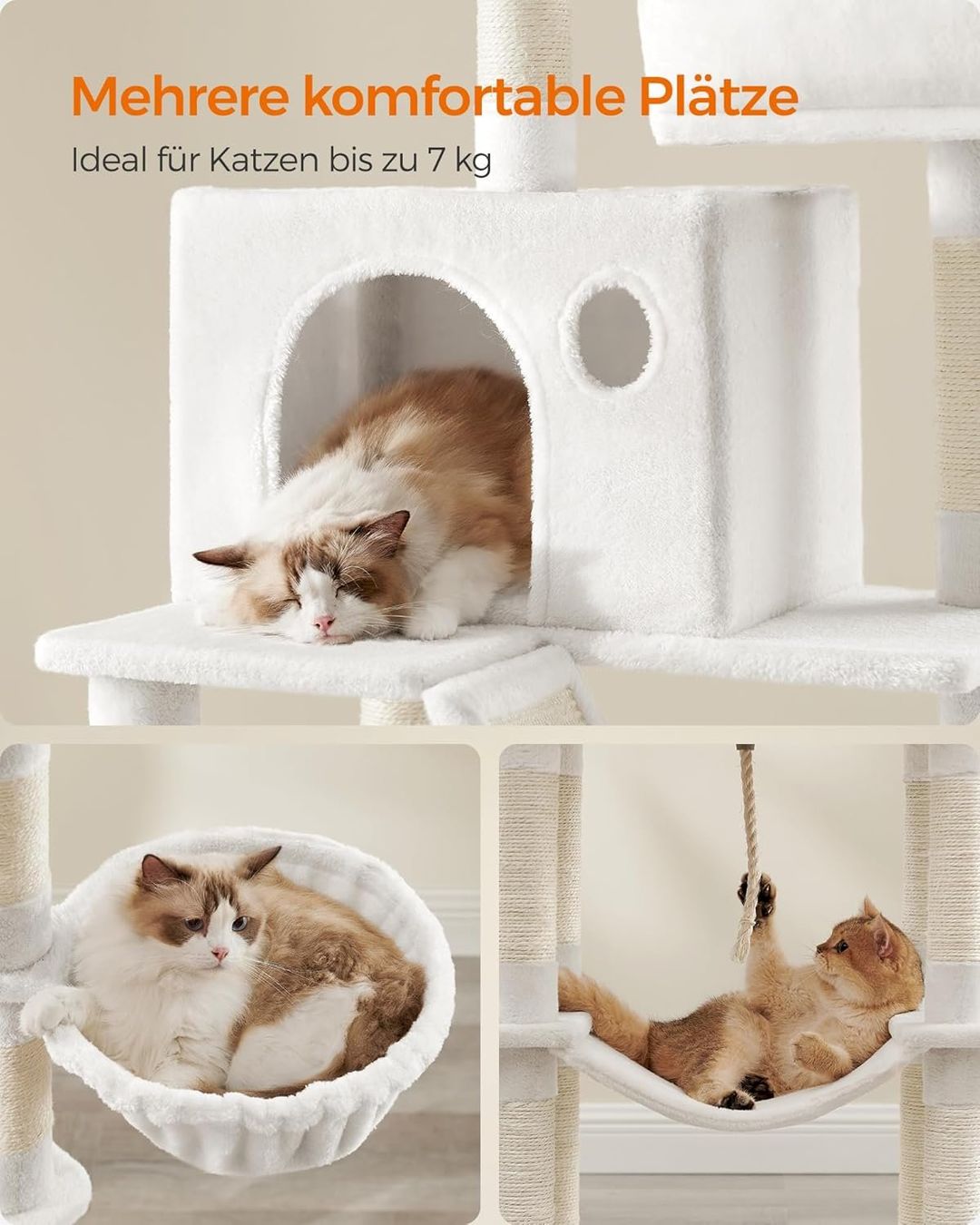 Arbres à chats: FEANDREA XL-Katzenbaum 206 cm Cremeweiß – Neuf avec emballage d'origine à Bottighofen par zaap 5