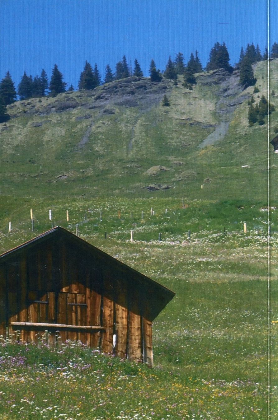 Libri: Adelboden, Nesslere, Berndeutsch – Usato da Aarau venduto da Elmaar41 1