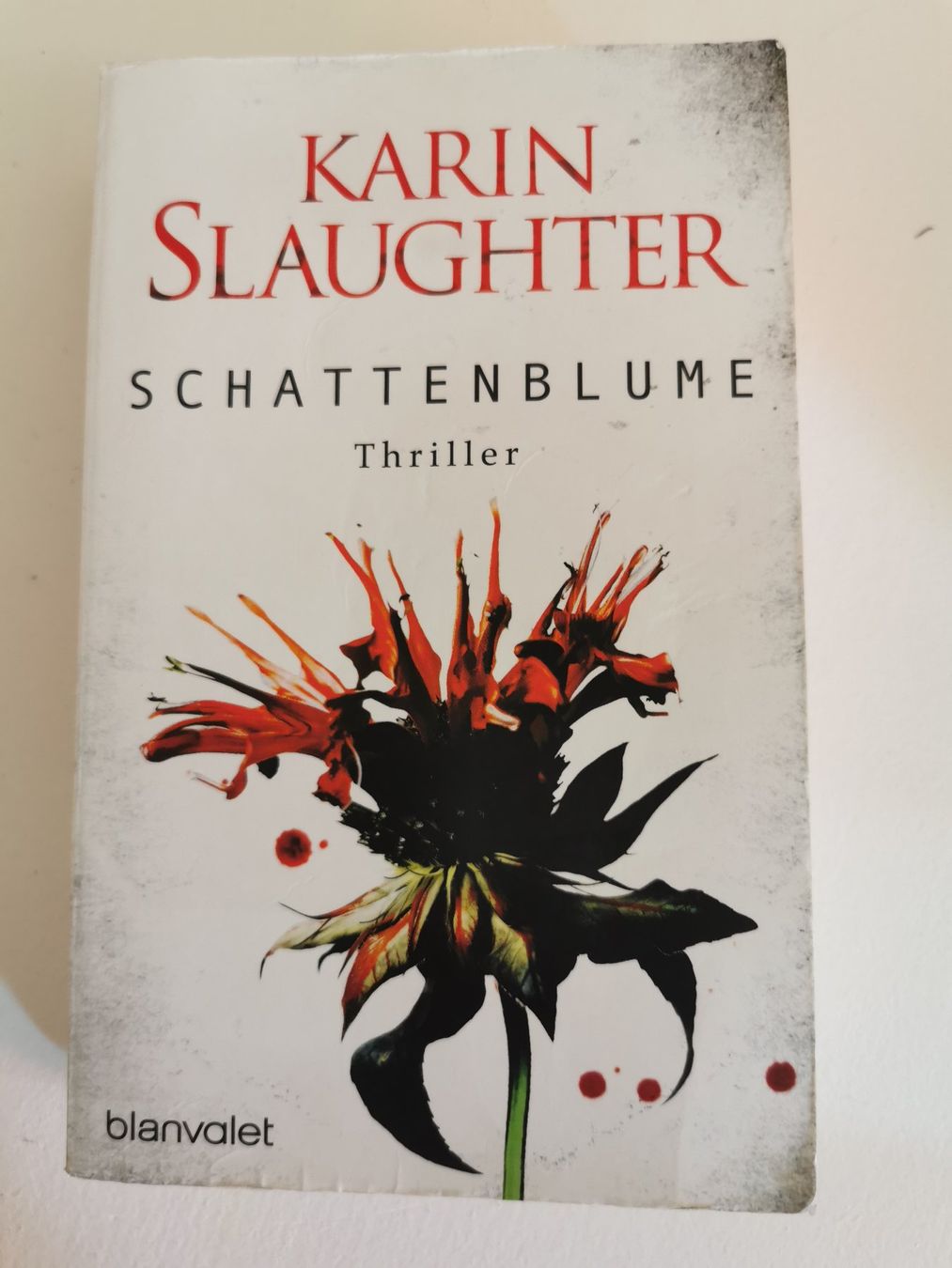 Libri: Krimi/Thriller - 5 Bücher - 5 Franken – Usato da bern venduto da jeannie2006 2