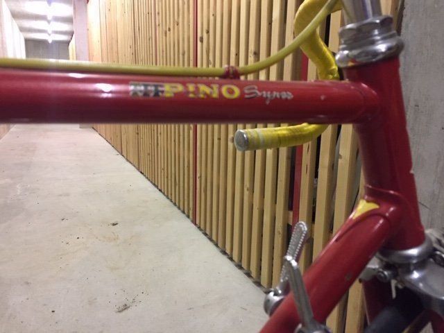 Vélos: Pino Super Velo de Course – D'occasion à Nyon par rpo_tz7v 4