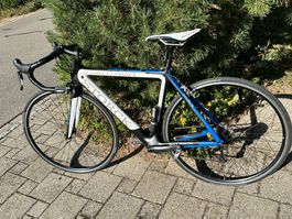 Storck Rennrad carbon guter Zustand