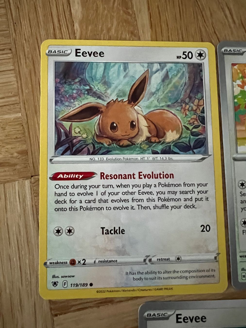 Pokémon Carte collezionabili: 3 Evoli Eevee Pokémon Karten - Englisch – Nuovo (secondo la descrizione) da Weinfelden venduto da oka_9xdz 1