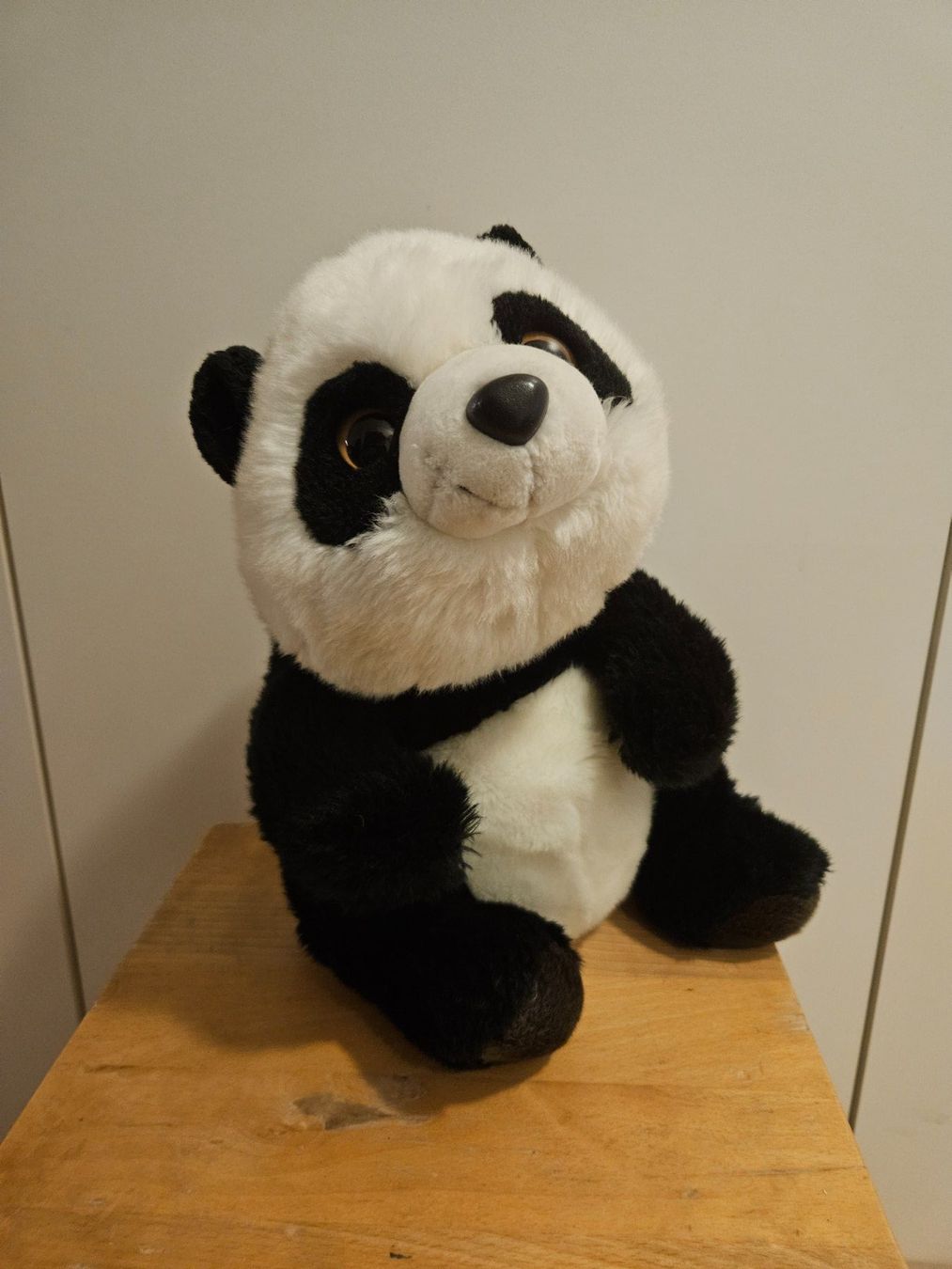 Giocattoli: Pandabär – Usato da Adliswil venduto da jen_w6qm