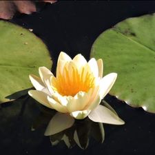 Profile image of sasa65