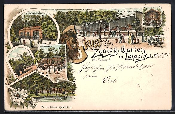 Ansichtskarten: Litho Leipzig, Zoologischer Garten - B – Gebraucht aus Berlin von bartko-reher